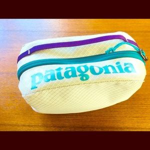 Patagonia cosmetic bag